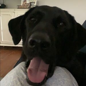 Meet your Posher, Abbie